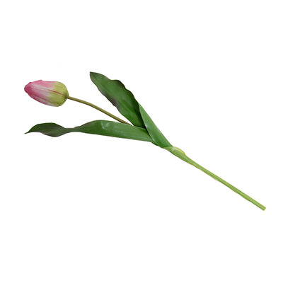 Tulip Stem, Dutch, 18"L - Pink-green