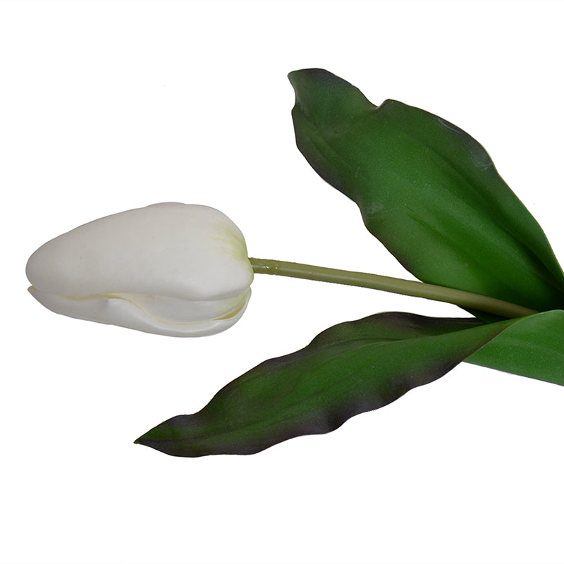 Tulip Stem, Dutch, 18"L - White