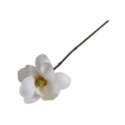 Magnolia Blossom stem, 21"L