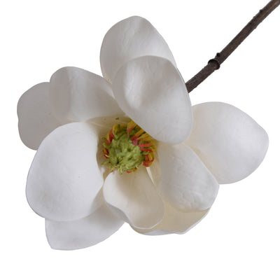 Magnolia Blossom stem, 21"L