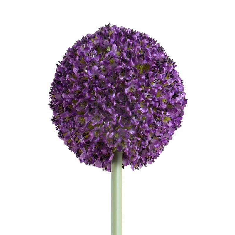 Allium Flower Stem 4"D