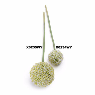 Allium Flower Stem 5.5"D