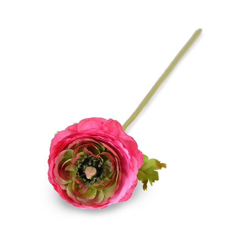 Ranunculus Stem, 15"L - Bright pink