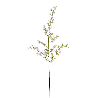 Brassia Spider Orchid spray, 48"