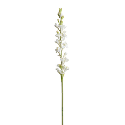 Tuberose flower stem, 35"L