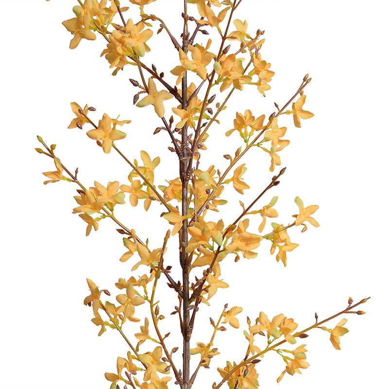 Forsythia Flower Branch, 62"L