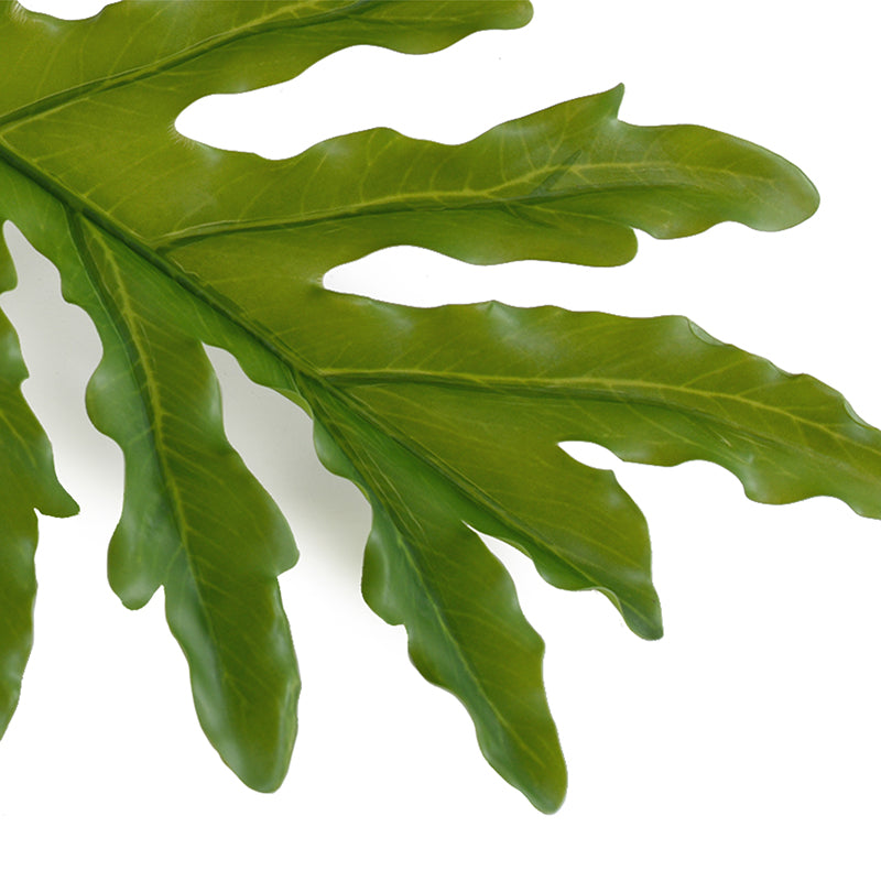 philodendron branch Philodendron Selloum Leaf branch, 36" L – New Growth Designs