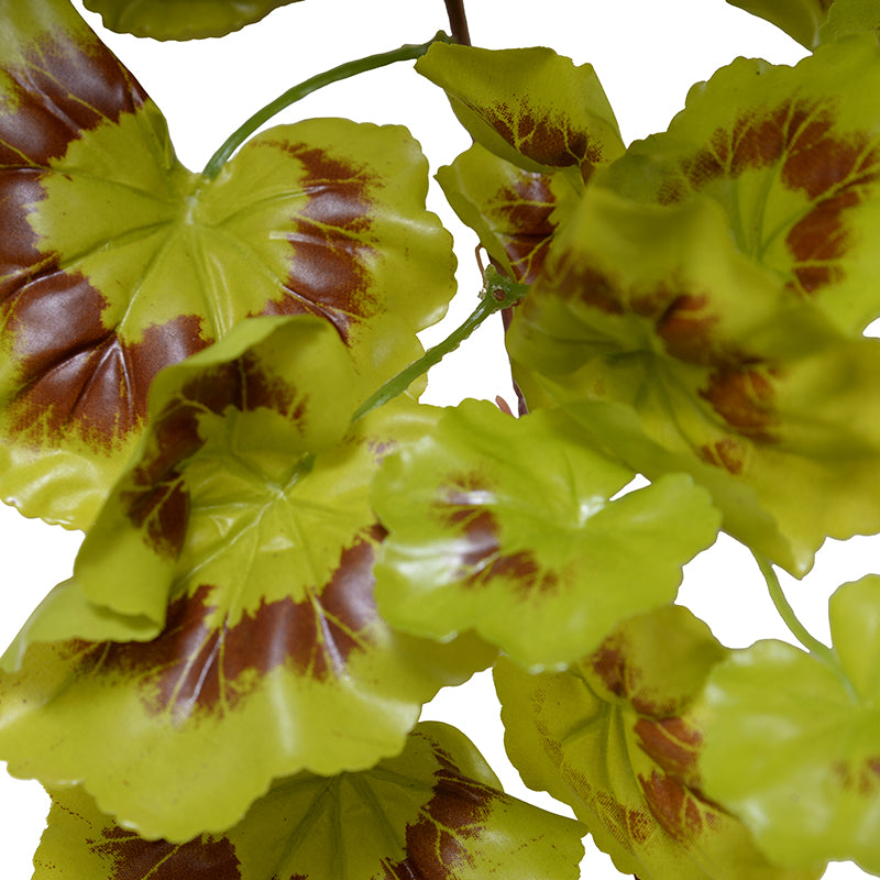 Geranium Ivy Vine, 20"L