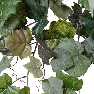 Grape Ivy Vine, 30"L