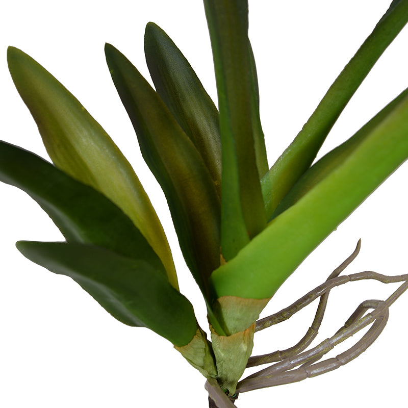 Orchid Foliage, 24"