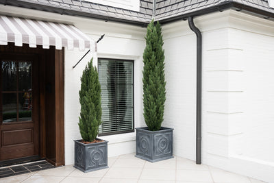 Fiberglass Decorative Cube Planter w/ Lead Finish