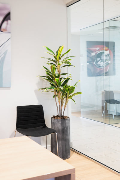 Fiberglass Cylinder Tall Planter w/ Lead Finish