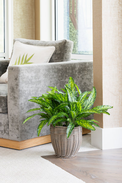 Synthetic Rattan UV Basket