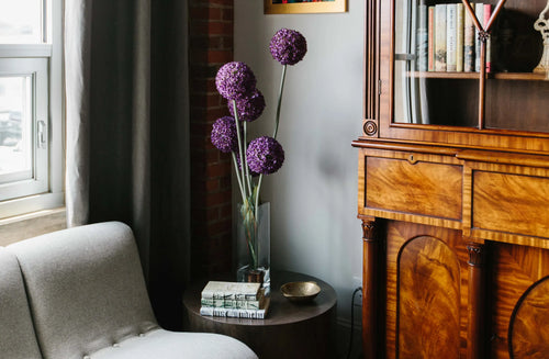 Purple alliums in residential setting.