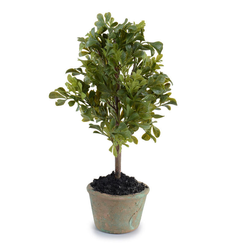 Boxwood Mini Bush High-Quality Wholesale Faux Indoor Plant 14 Inches Tall - New Growth Designs