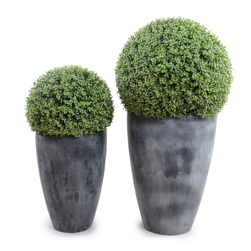 22" Boxwood Ball in Tapered Pot - New Growth Designs