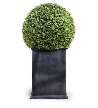 28" Boxwood Ball Topiary - New Growth Designs