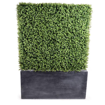 42" Boxwood Hedge with planter - New Growth Designs
