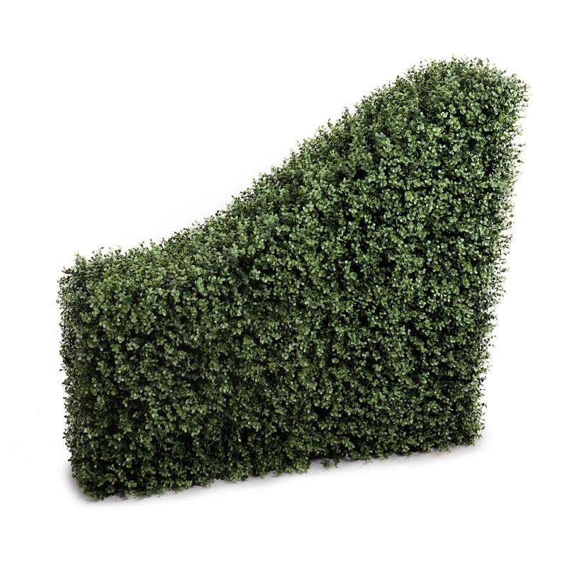 Boxwood Hedge, Transition - New Growth Designs