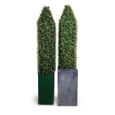 Boxwood Obelisk in Fiberglass Pot - New Growth Designs