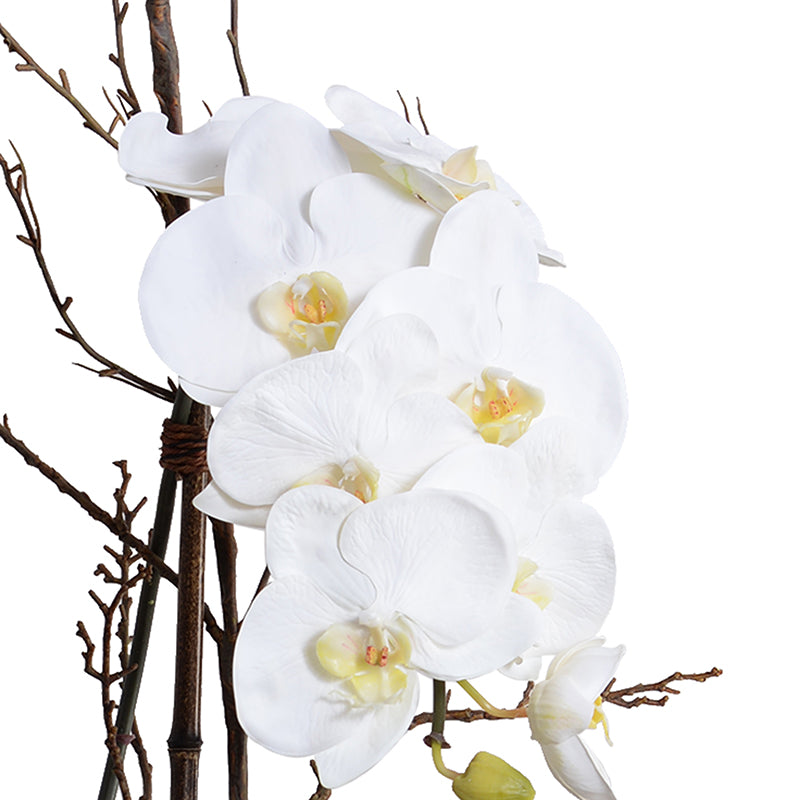 Phalaenopsis Orchid x1 w/Willow in Mirror Vase - White