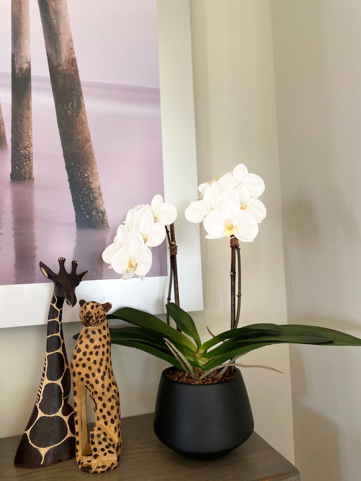Phalaenopsis Orchid x2 in Black Ceramic Vase, 18"H - White