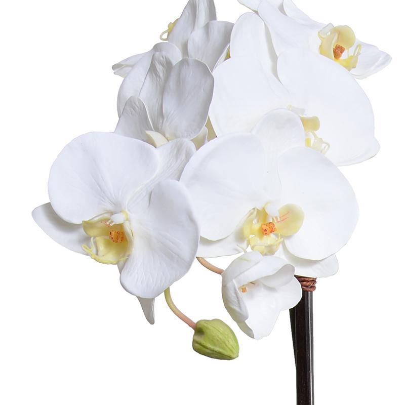 Phalaenopsis Orchid x2 in White Ceramic Bowl, 28"H - New Growth Designs
