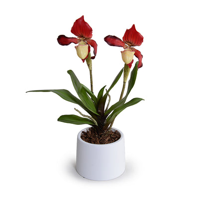Lady's Slipper Orchid x2 in ceramic, 15"H - Red-yellow