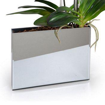 Phalaeonpsis Orchid x3 in Mirror Envelope - White - New Growth Designs
