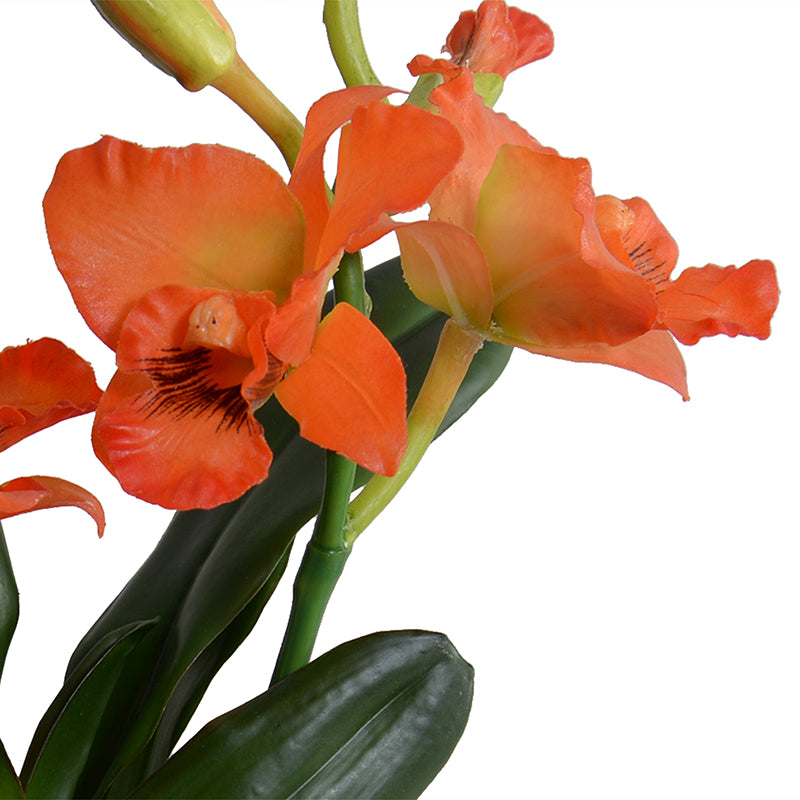 Cattleya Orchid in Black Ceramic Vase, 14"H - Orange