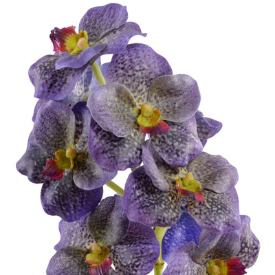 Vanda Orchid in Terracotta - Purple