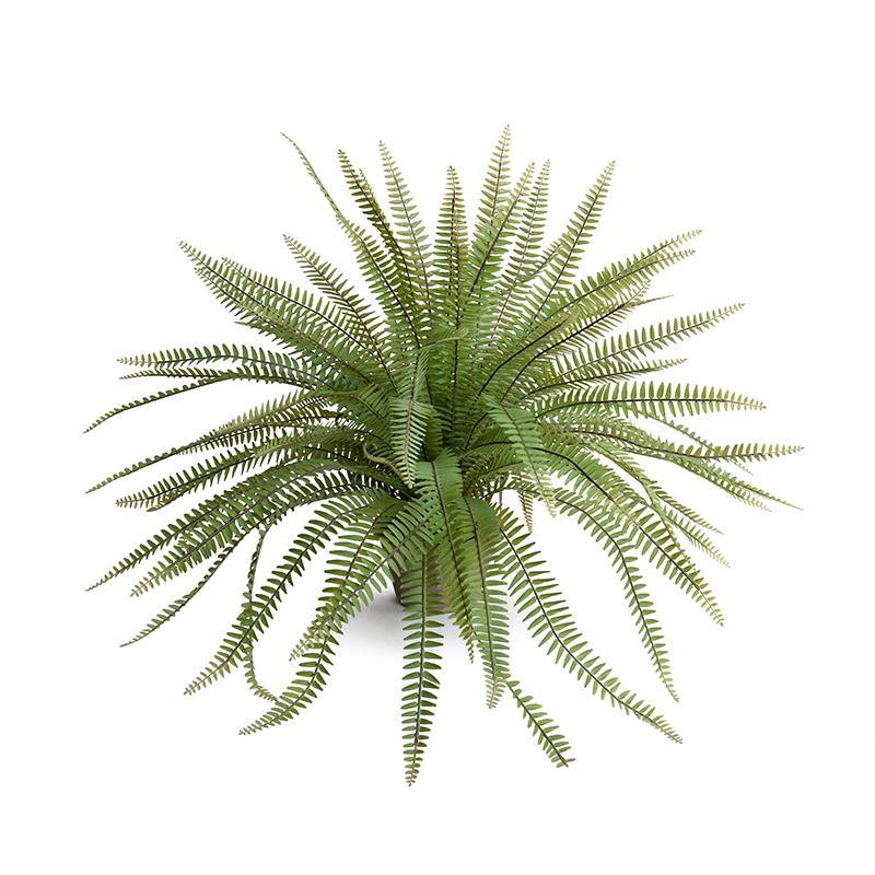Wholesale Artificial Fern and Sword Fern Indoor Plants 24 Inches Tall - New Growth Designs