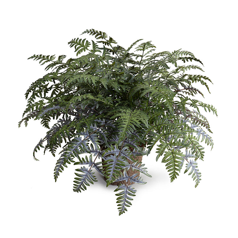 Athyrium Lady Fern Wholesale Artificial Indoor Plant 24 Inches Tall - New Growth Designs