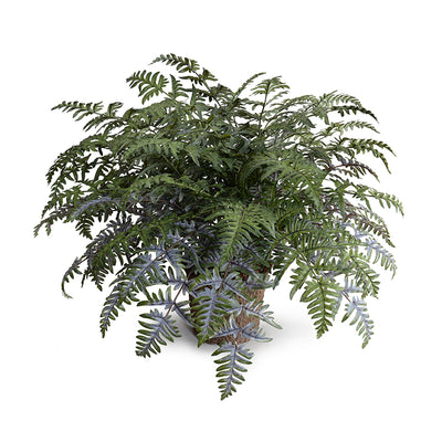 Athyrium Lady Fern Wholesale Artificial Indoor Plant 24 Inches Tall - New Growth Designs