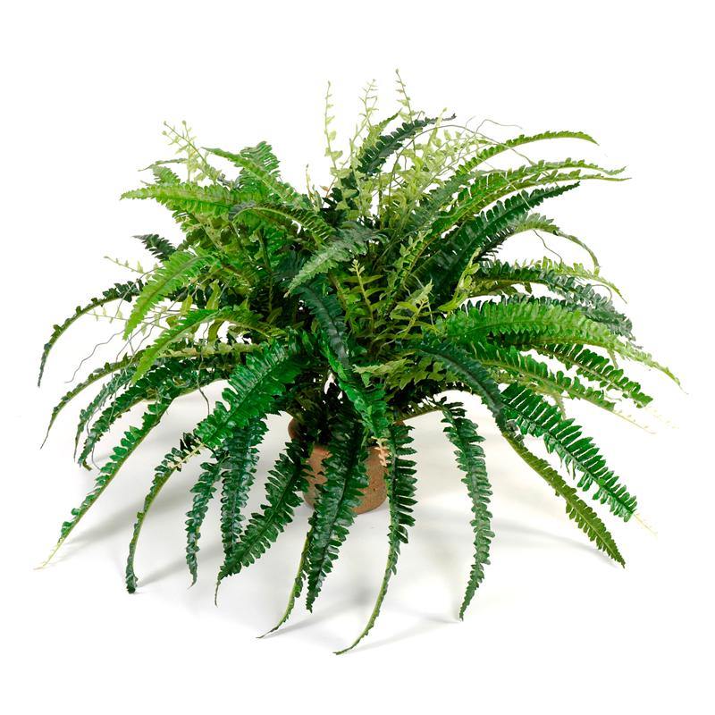 Wholesale Artificial Forest Fern for Indoor Decor in 4" Rustic Terracotta Pot - New Growth Designs