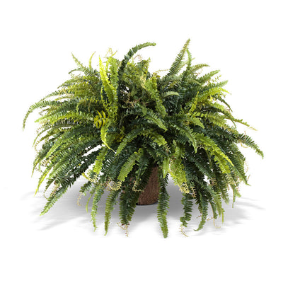 Wholesale Artificial Forest Fern in Pot Indoor 24 Inches Tall - New Growth Designs