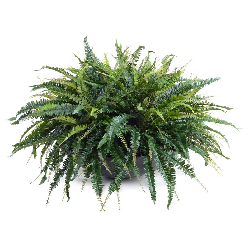 High-Quality Forest Fern Wholesale Artificial Plant in Bowl Indoor 30 Inches Tall - New Growth Designs