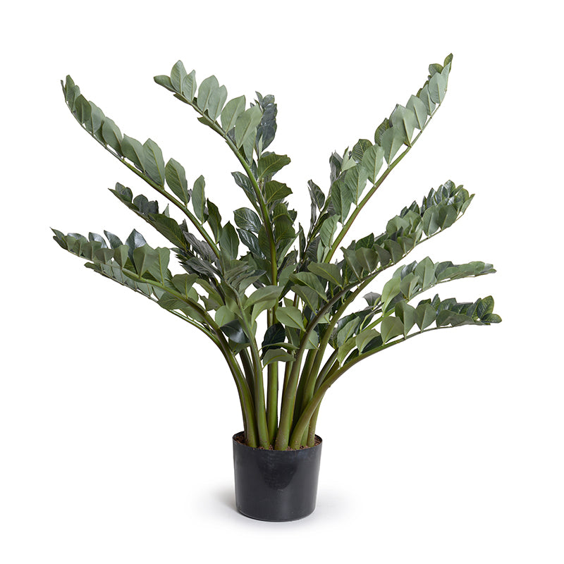 Wholesale Artificial "ZZ" Zamiifolia Plant Indoor 48 Inches Tall - New Growth Designs