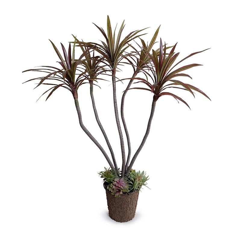 Realistic Dracaena Marginata Wholesale Artificial Indoor Plant 54 Inches Tall - New Growth Designs