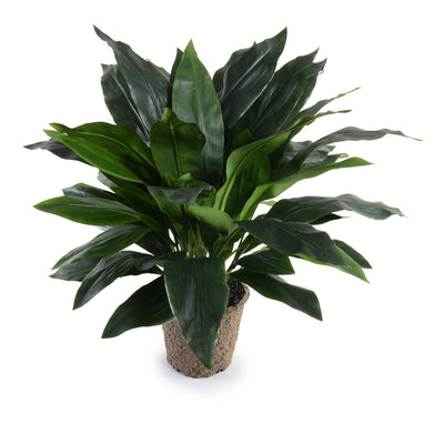 Wholesale Artificial Aspidistra Plant Indoor 36 Inches Tall - New Growth Designs