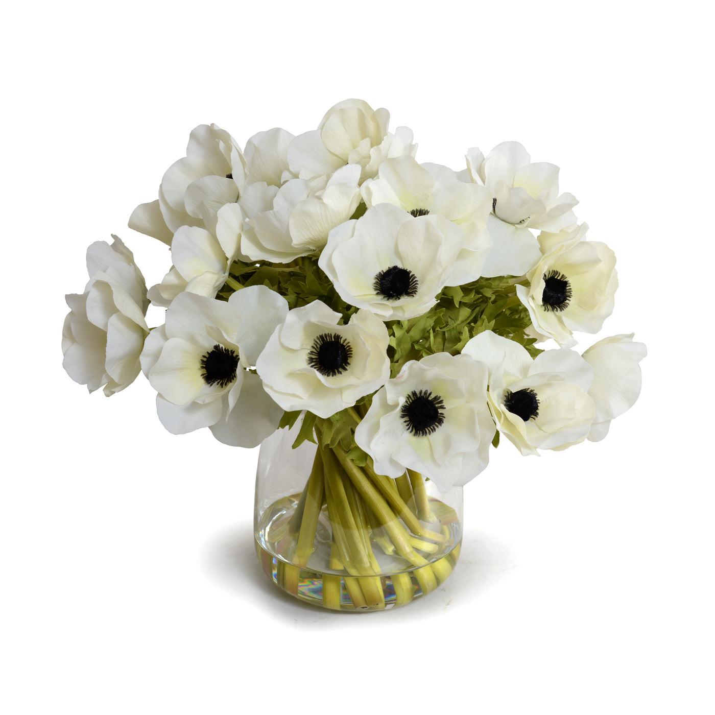 Anemone in tapered round vase, 12"H - White