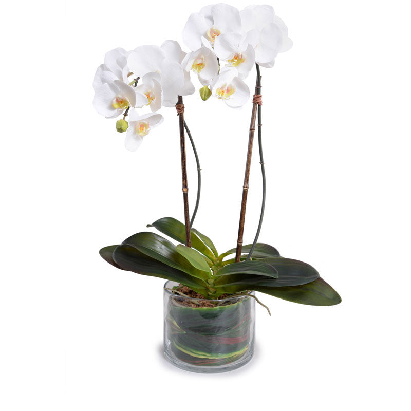 2 Wholesale Artificial Phalaenopsis Orchids White Indoor 29 Inches Tall - New Growth Designs