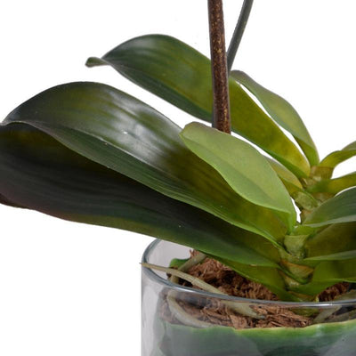 Phalaenopsis Orchid Leaf It - Fuchsia - New Growth Designs