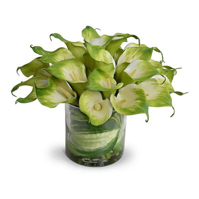 Calla Lily Arrangement in Leaf Lined Glass - Green - New Growth Designs