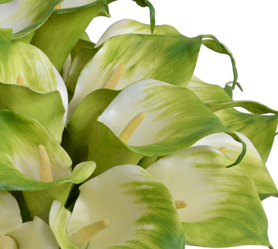 Calla Lily Arrangement in Leaf Lined Glass - Green