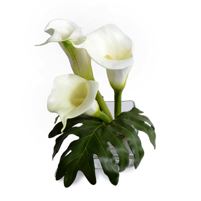 Calla Lily Cutting with Leaf - White