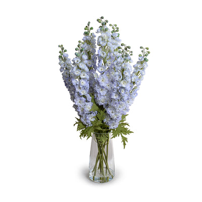 Delphinium in glass vase, 36"H - Lavender