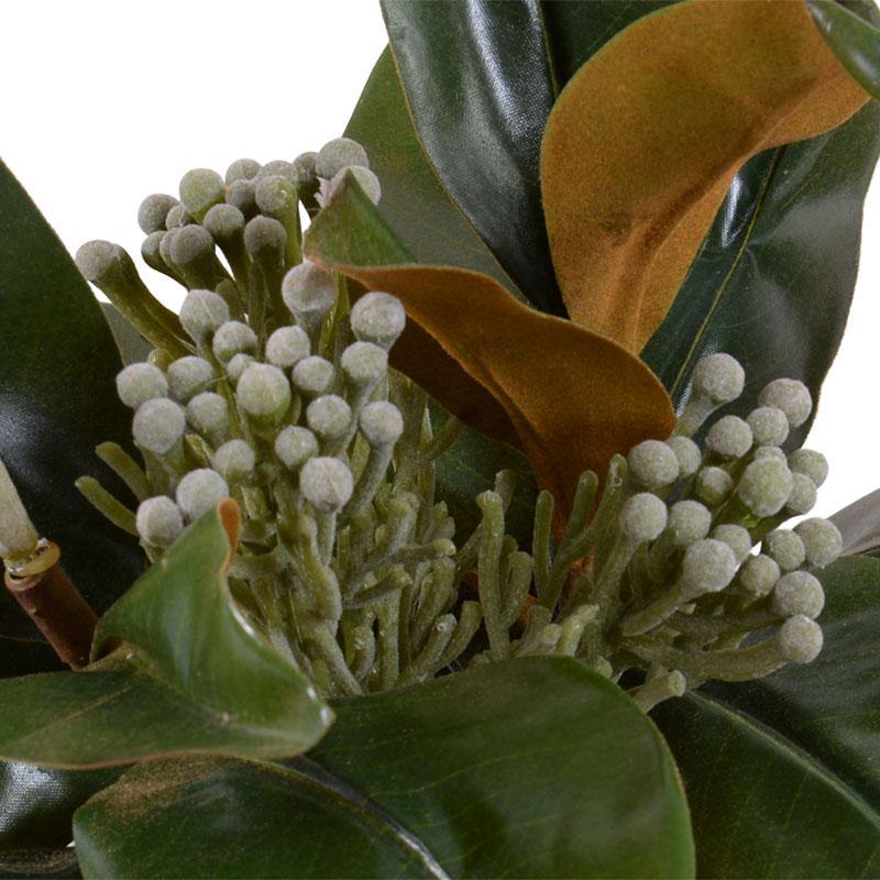 Magnolia, Silver Brunia - New Growth Designs