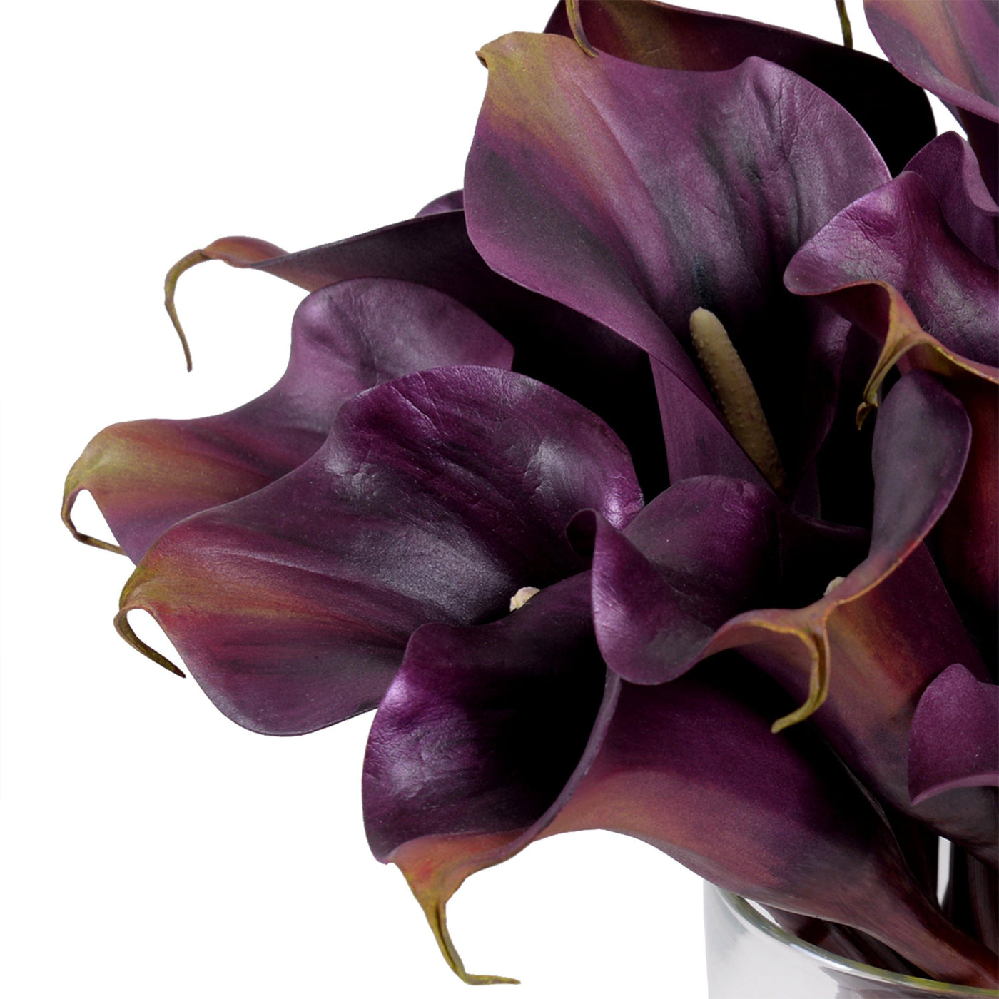 Calla Lily Arrangement in Glass - Aubergine - New Growth Designs