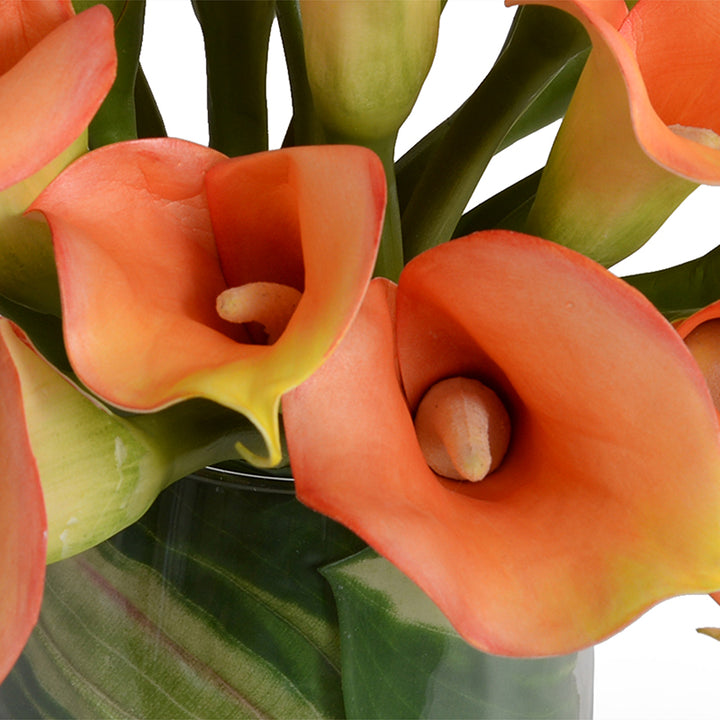 15051ORL_CU_b4ed0ad4-df8e-4387